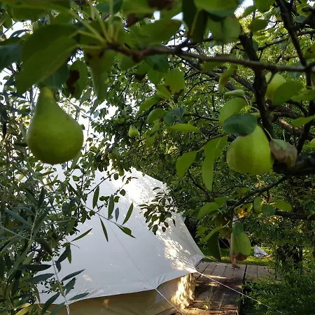 Skadar Zeta Glamping Campismo de Luxo