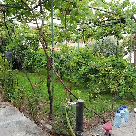 Skadar Zeta Glamping 럭셔리텐트 *